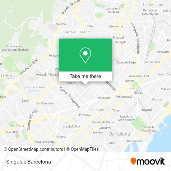Singular map