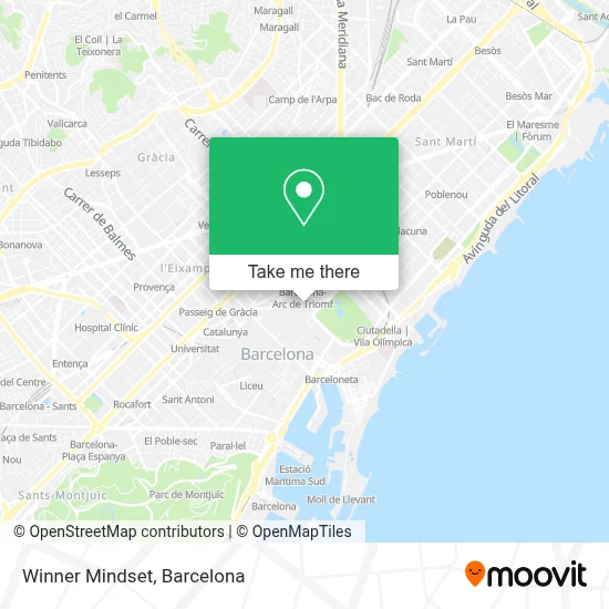 Winner Mindset map