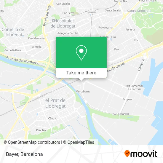 Bayer map