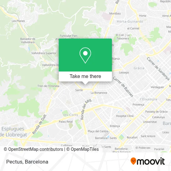 Pectus map