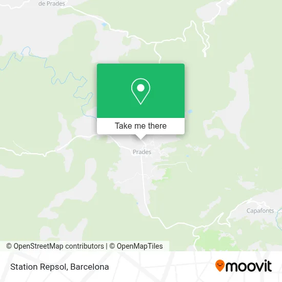 Station Repsol map