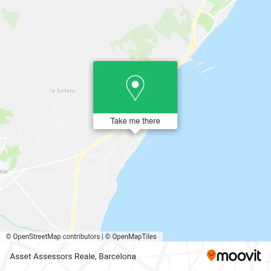 Asset Assessors Reale map