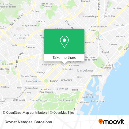 Raynet Neteges map