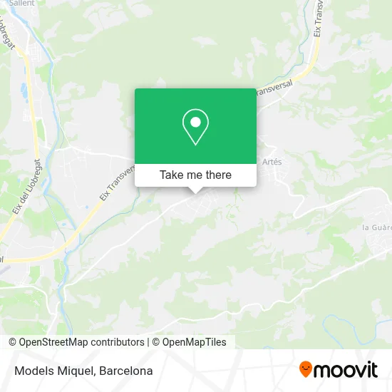 Models Miquel map