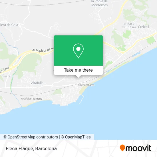 Fleca Flaque map
