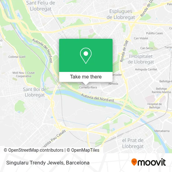 Singularu Trendy Jewels map
