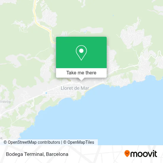 mapa Bodega Terminal