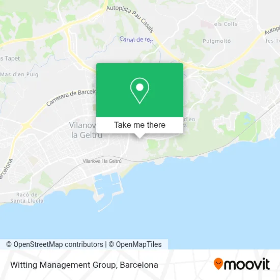 Witting Management Group map