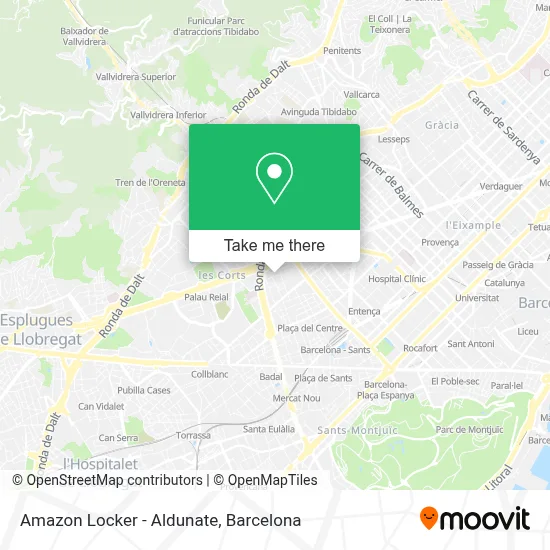 Amazon Locker - Aldunate map