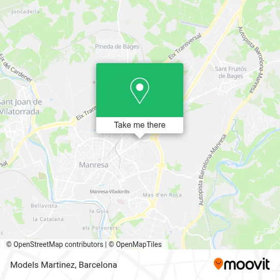 Models Martinez map