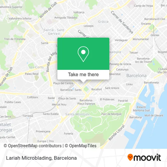 Lariah Microblading map