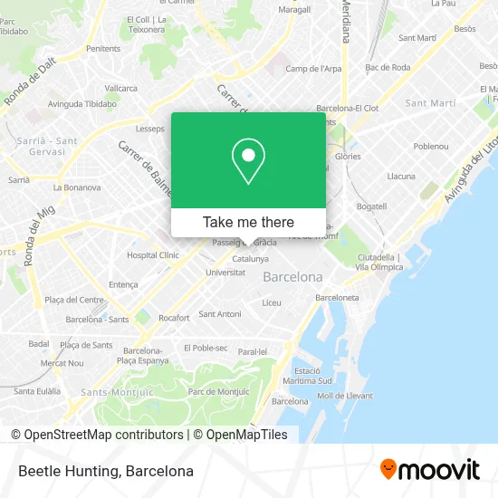 Beetle Hunting map