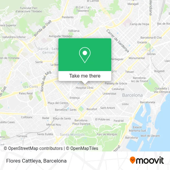 Flores Cattleya map