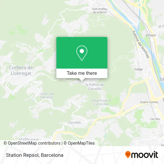 Station Repsol map