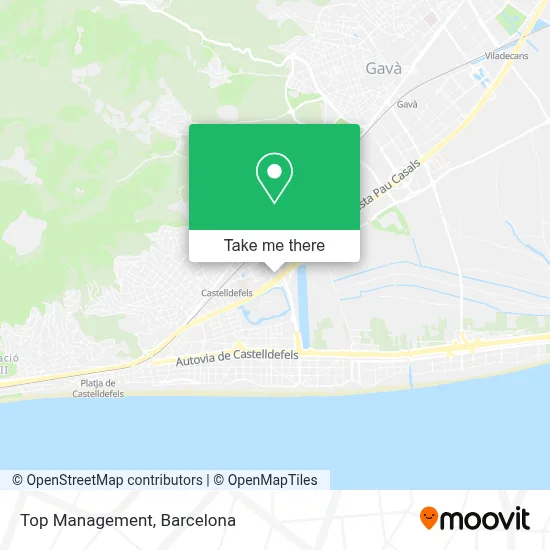 Top Management map