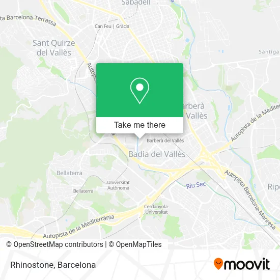 Rhinostone map