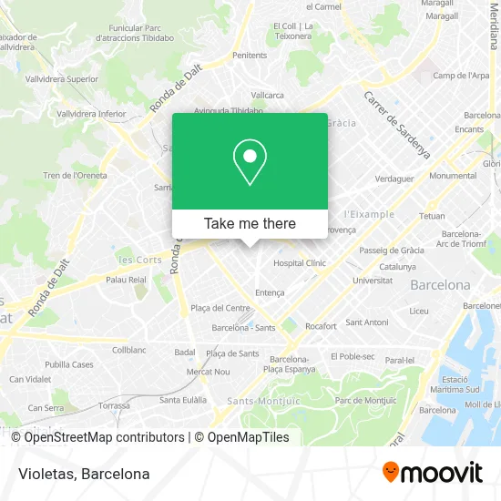 Violetas map