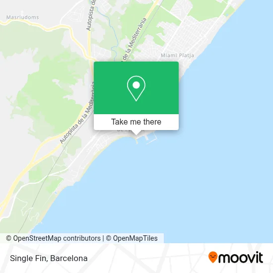 Single Fin map