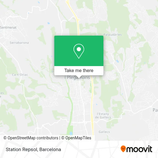 Station Repsol map