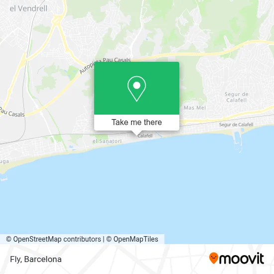 Fly map