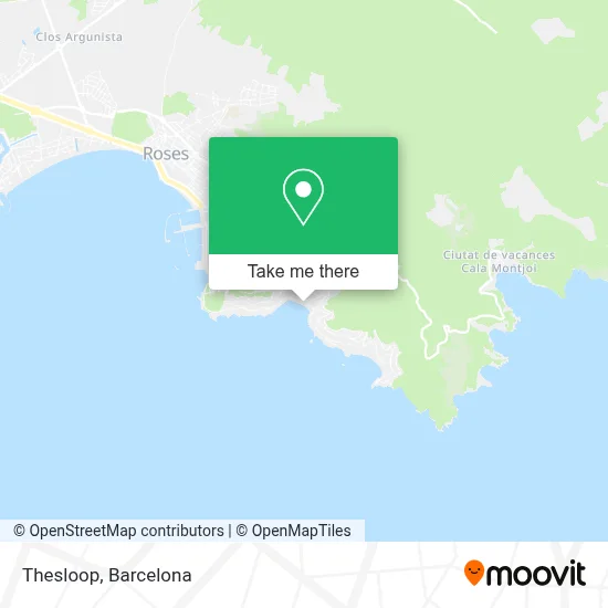 Thesloop map