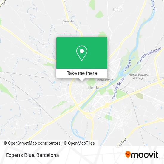 Experts Blue map