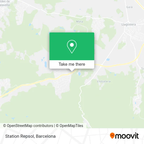 Station Repsol map