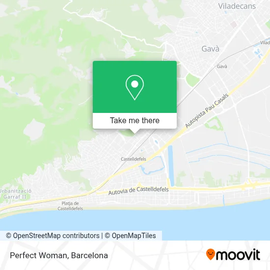 Perfect Woman map