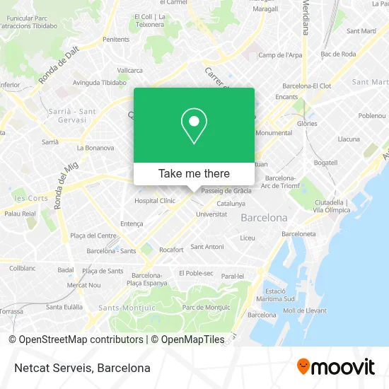 Netcat Serveis map