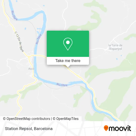 Station Repsol map
