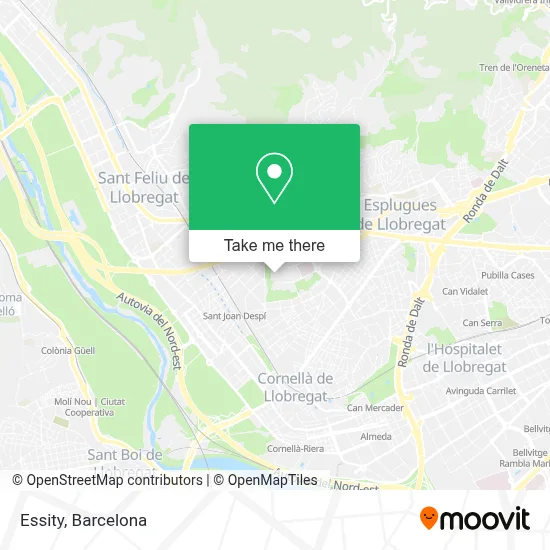 Essity map