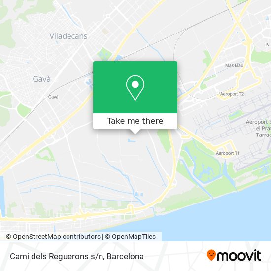Cami dels Reguerons s/n map