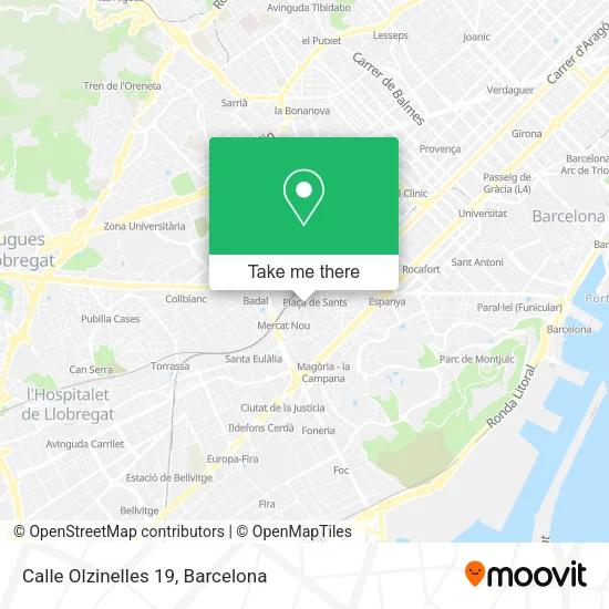 Calle Olzinelles 19 map