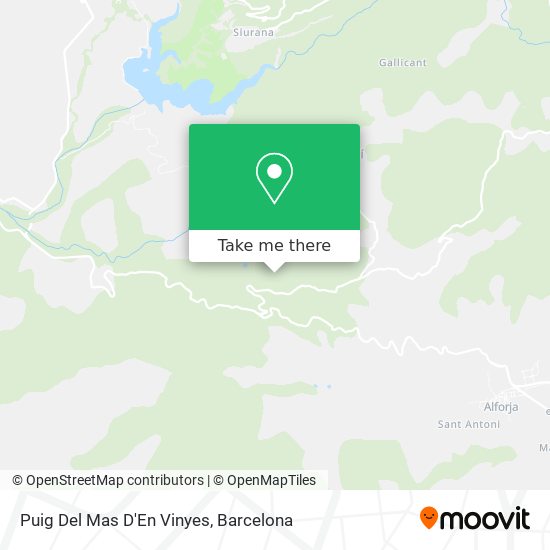 Puig Del Mas D'En Vinyes map