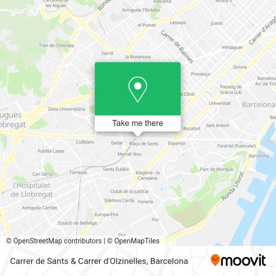 Carrer de Sants & Carrer d'Olzinelles map