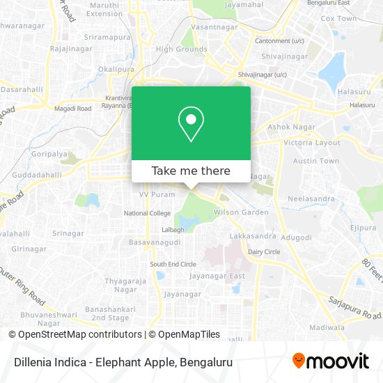 Dillenia Indica - Elephant Apple map