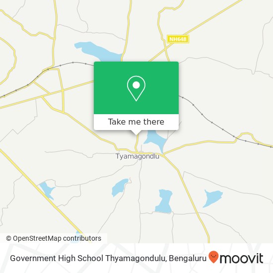 Government High School Thyamagondulu map