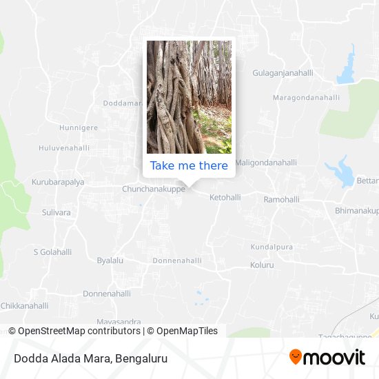 Dodda Alada Mara map