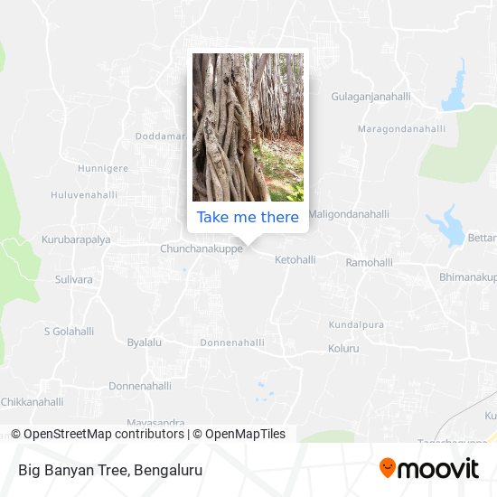 Big Banyan Tree map