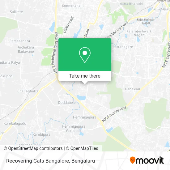Recovering Cats Bangalore map
