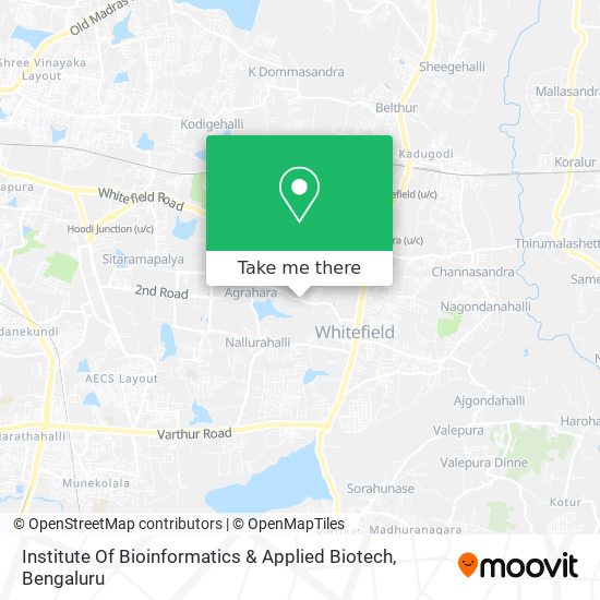 Institute Of Bioinformatics & Applied Biotech map
