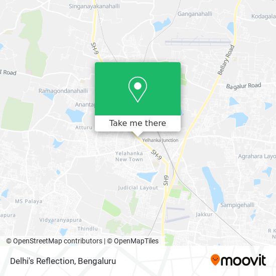 Delhi's Reflection map