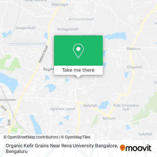 Organic Kefir Grains Near Reva University Bangalore map