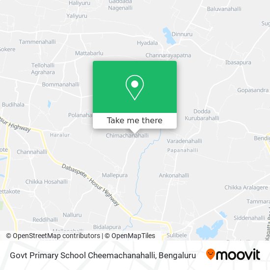 Govt Primary School Cheemachanahalli map