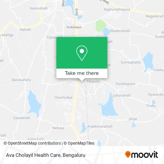 Ava Cholayil Health Care map