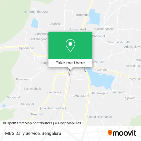 MBS Daily Service map