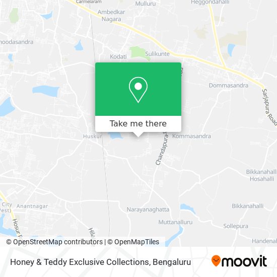 Honey & Teddy Exclusive Collections map