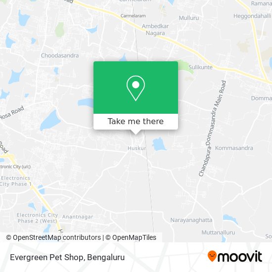 Evergreen Pet Shop map