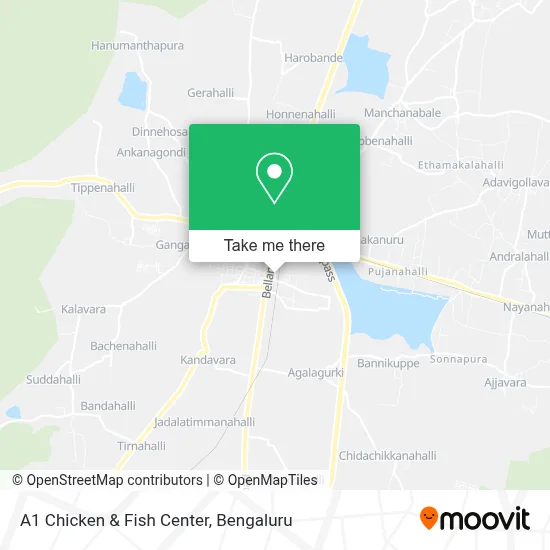 A1 Chicken & Fish Center map