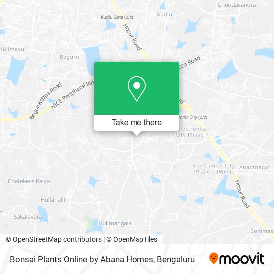 Bonsai Plants Online by Abana Homes map